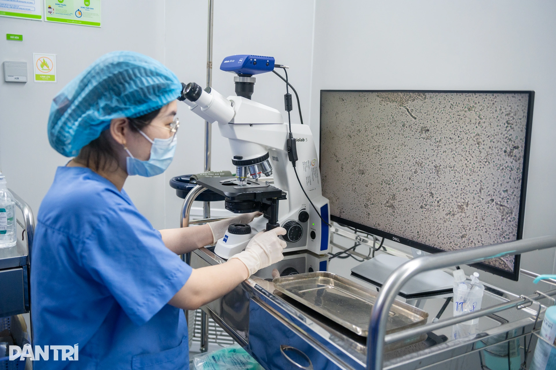 Một giờ săn lùng những tinh binh cuối cùng của người đàn ông 10 năm vô sinh - 11