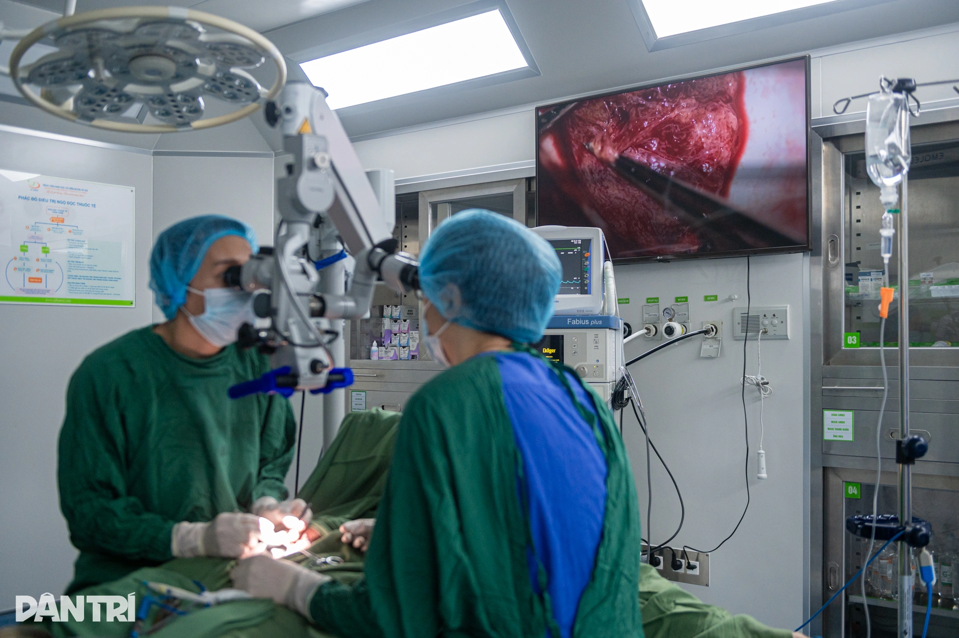 Một giờ săn lùng những tinh binh cuối cùng của người đàn ông 10 năm vô sinh - 9