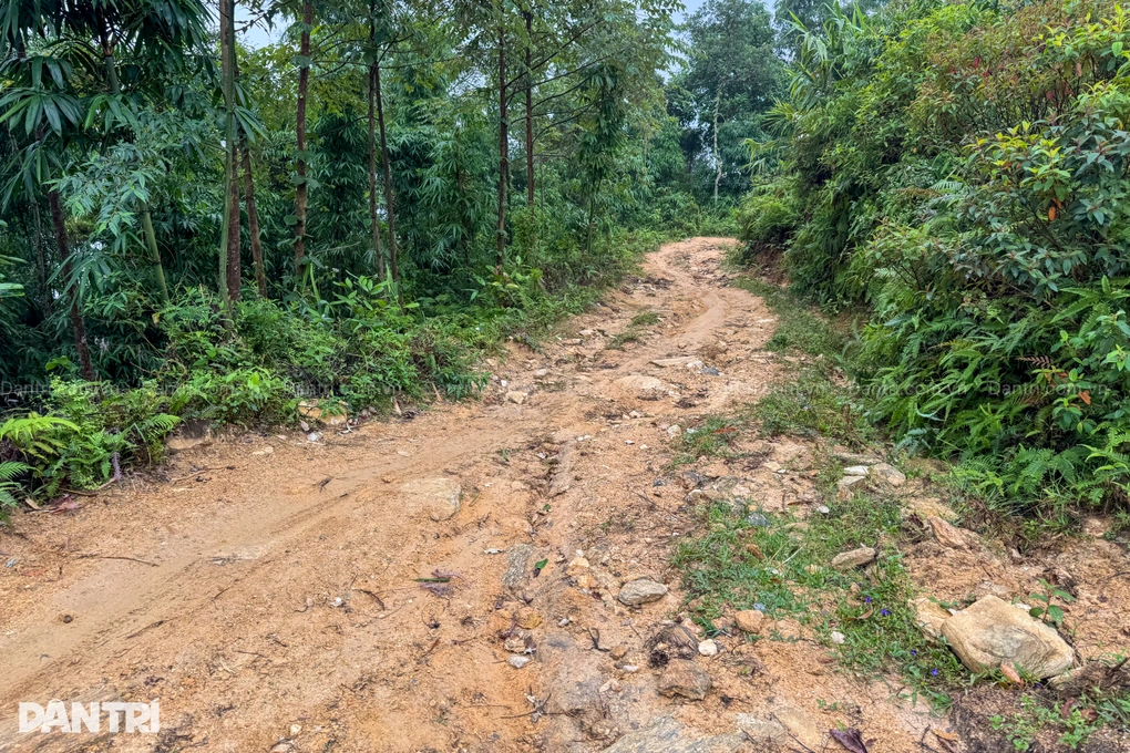 Cha già suy thận đau đớn, 3 thế hệ chật vật tồn tại nơi rừng sâu núi thẳm - 2 Cha già suy thận đau đớn, 3 thế hệ chật vật tồn tại nơi rừng sâu núi thẳm - 2