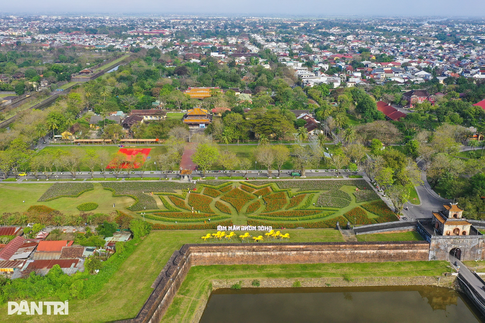 Đóa sen khổng lồ từ 5 vạn chậu hoa ở Kinh thành Huế - 2