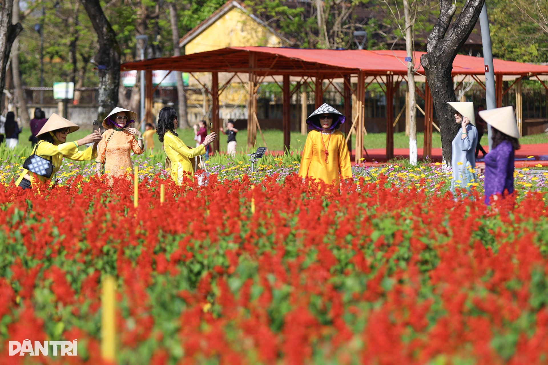 Đóa sen khổng lồ từ 5 vạn chậu hoa ở Kinh thành Huế - 4