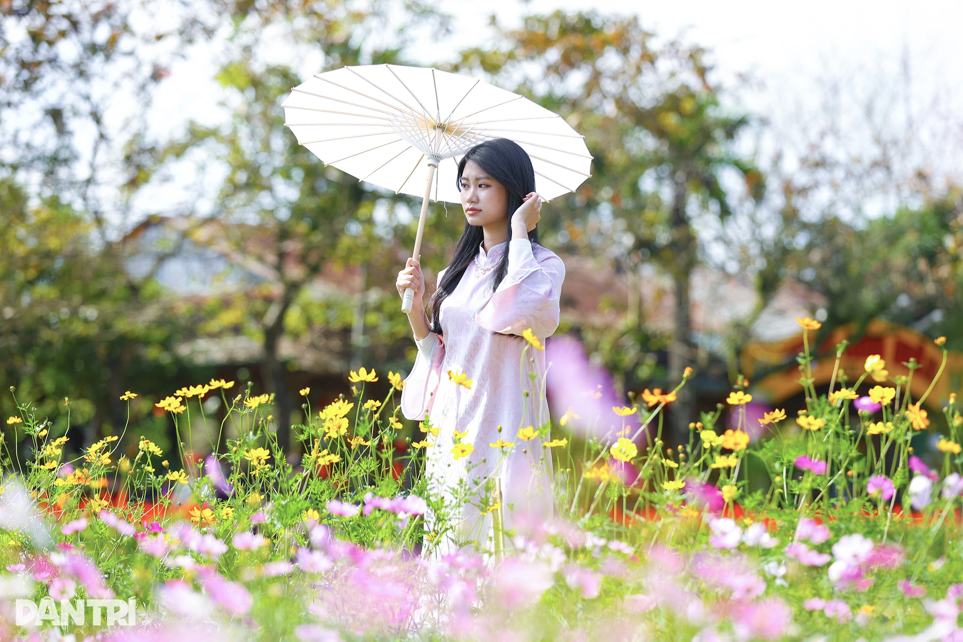 Đóa sen khổng lồ từ 5 vạn chậu hoa ở Kinh thành Huế - 5