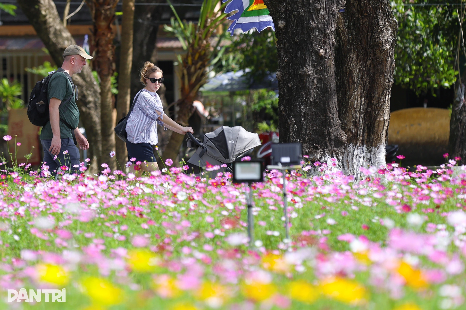 Đóa sen khổng lồ từ 5 vạn chậu hoa ở Kinh thành Huế - 7