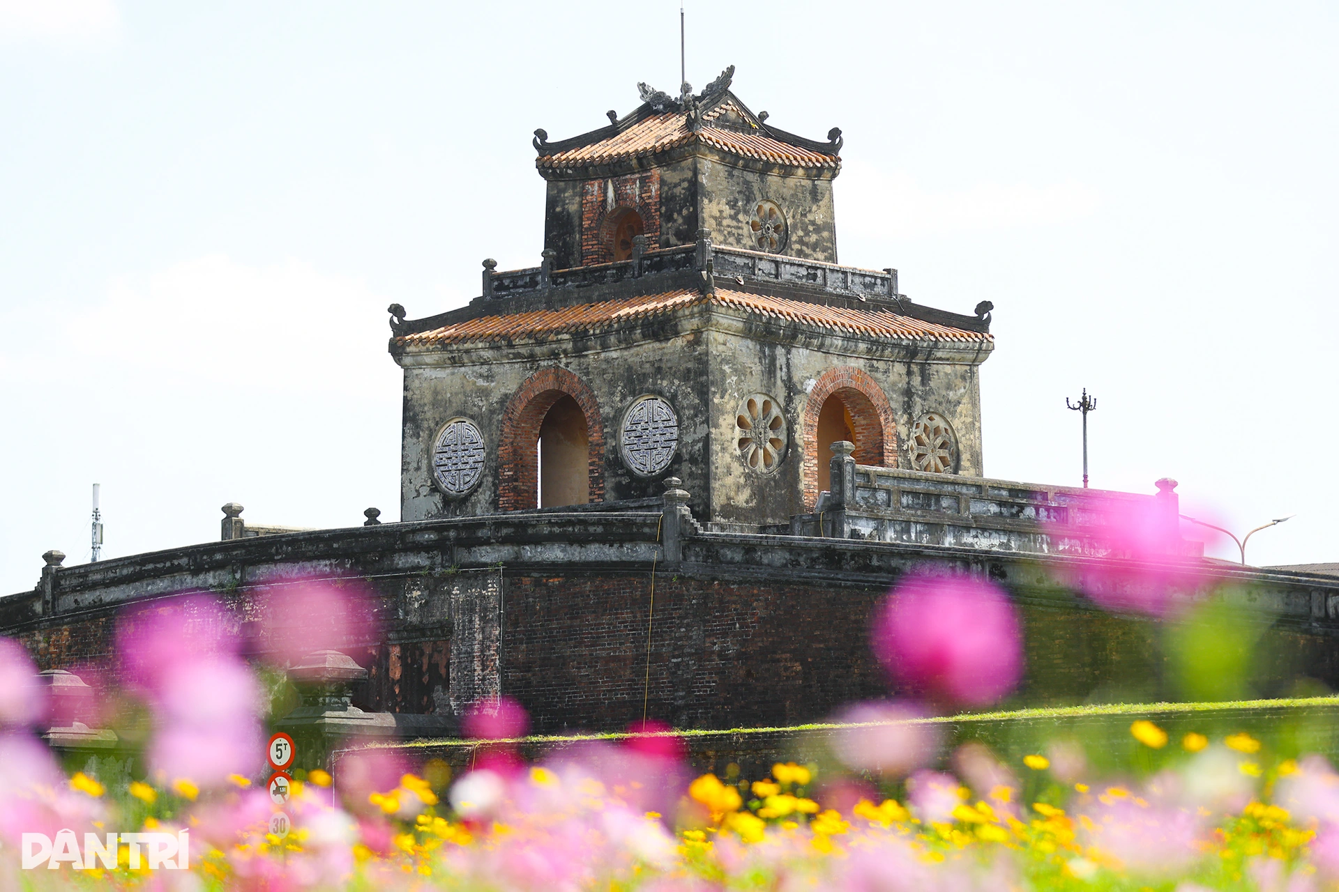 Đóa sen khổng lồ từ 5 vạn chậu hoa ở Kinh thành Huế - 3