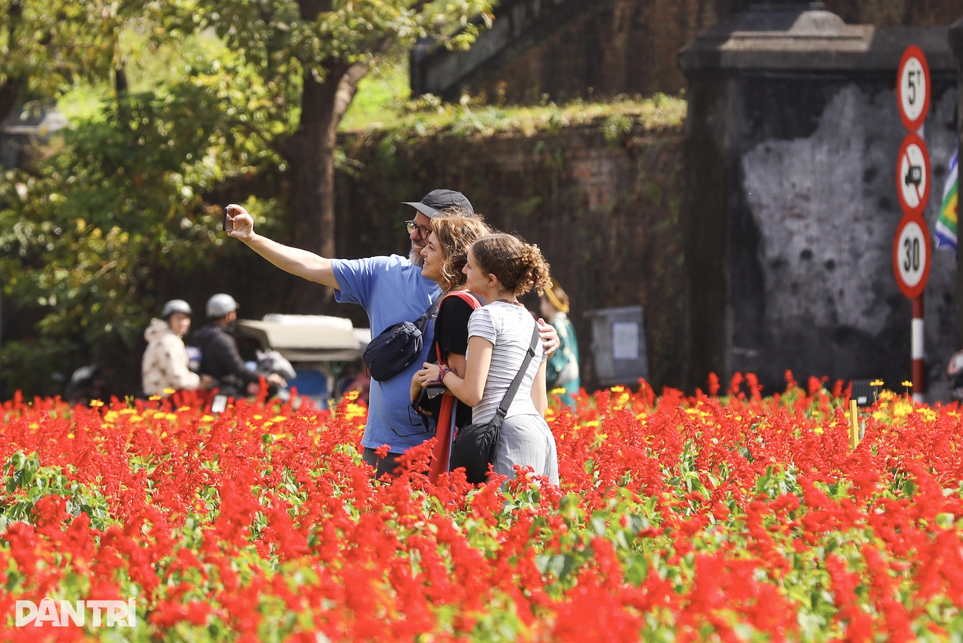 Đóa sen khổng lồ từ 5 vạn chậu hoa ở Kinh thành Huế - 6