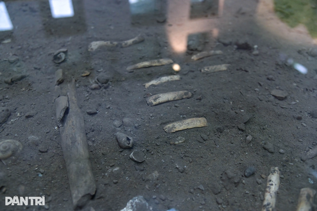 Hài cốt 7.500 tuổi hé lộ dấu tích người tiền sử ở hang động Việt Nam - 3 Hài cốt 7.500 tuổi hé lộ dấu tích người tiền sử ở hang động Việt Nam - 3