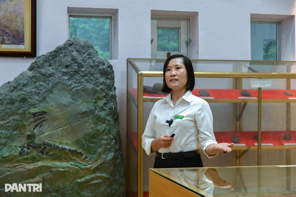 Hài cốt 7.500 tuổi hé lộ dấu tích người tiền sử ở hang động Việt Nam - 2 Hài cốt 7.500 tuổi hé lộ dấu tích người tiền sử ở hang động Việt Nam - 2