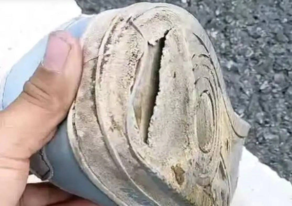 Cạn kiệt tiền, chàng trai Trung Quốc đi bộ 2 tháng về quê ăn Tết - 2