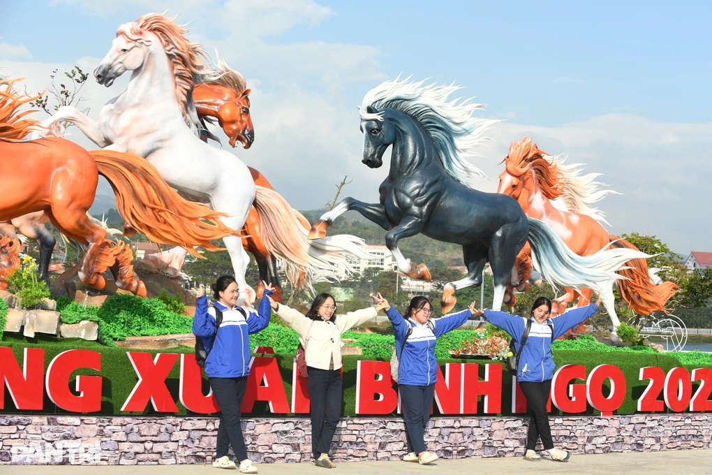 Xã miền núi đầu tư hơn 400 triệu đồng làm mô hình “mã đáo thành công” - 2 Xã miền núi đầu tư hơn 400 triệu đồng làm mô hình “mã đáo thành công” - 2