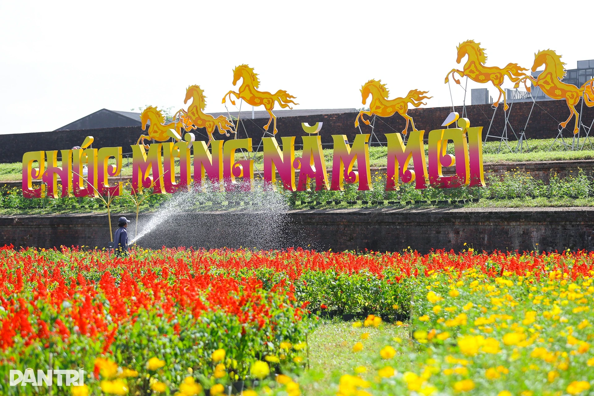 Đóa sen khổng lồ từ 5 vạn chậu hoa ở Kinh thành Huế - 10