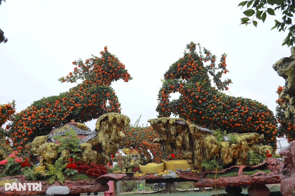 Đàn ngựa làm từ giống quýt cổ, chủ vườn mất 5 năm hoàn thành ở Hưng Yên - 5