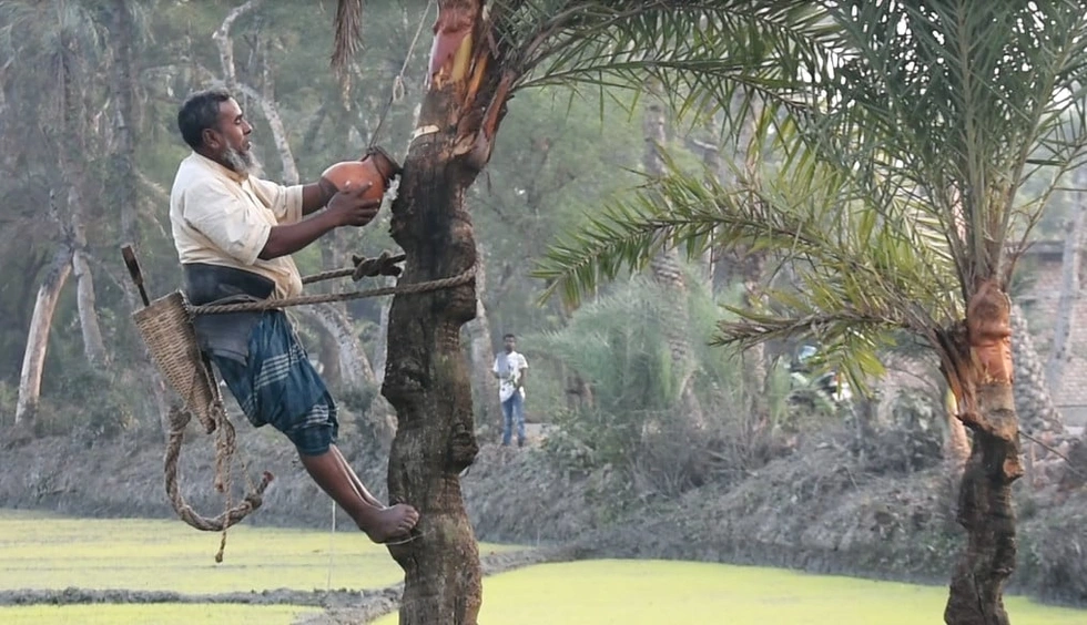 Virus Nipah đã từng bùng phát tại đâu, khiến bao nhiêu người thiệt mạng? - 4 Virus Nipah đã từng bùng phát tại đâu, khiến bao nhiêu người thiệt mạng? - 4