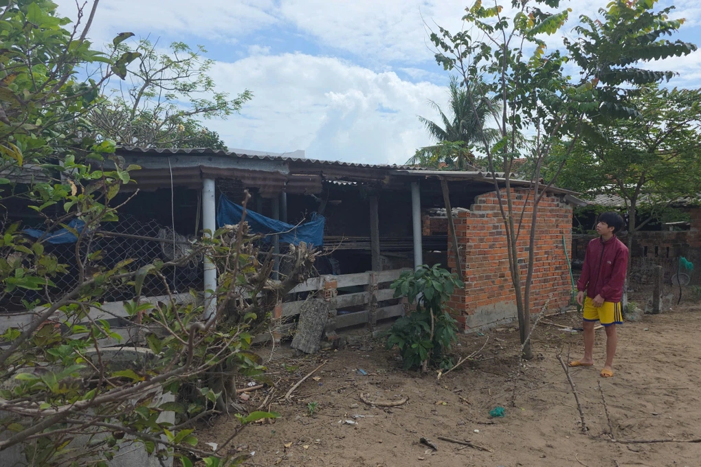 Tặng Bằng khen nam sinh sơ cứu cho phi công trong vụ rơi máy bay - 2