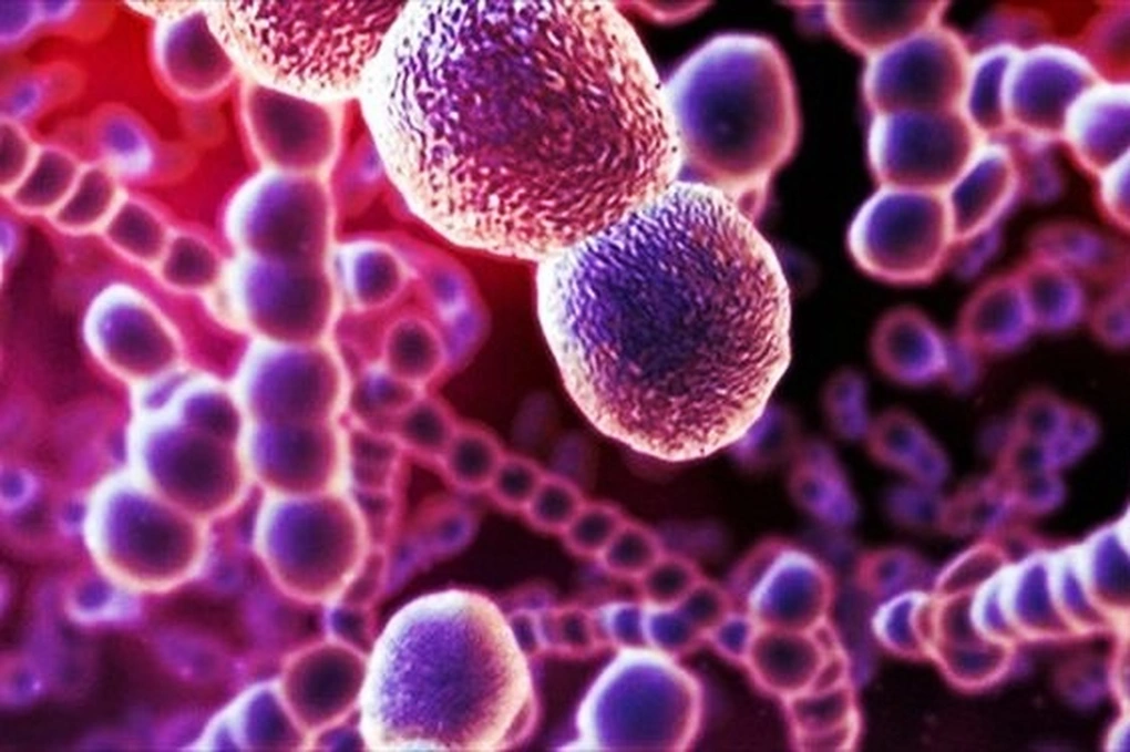 Tạp chí quốc tế công bố nghiên cứu ở Việt Nam về bệnh nhiễm khuẩn nguy hiểm - 3 Tạp chí quốc tế công bố nghiên cứu ở Việt Nam về bệnh nhiễm khuẩn nguy hiểm - 3