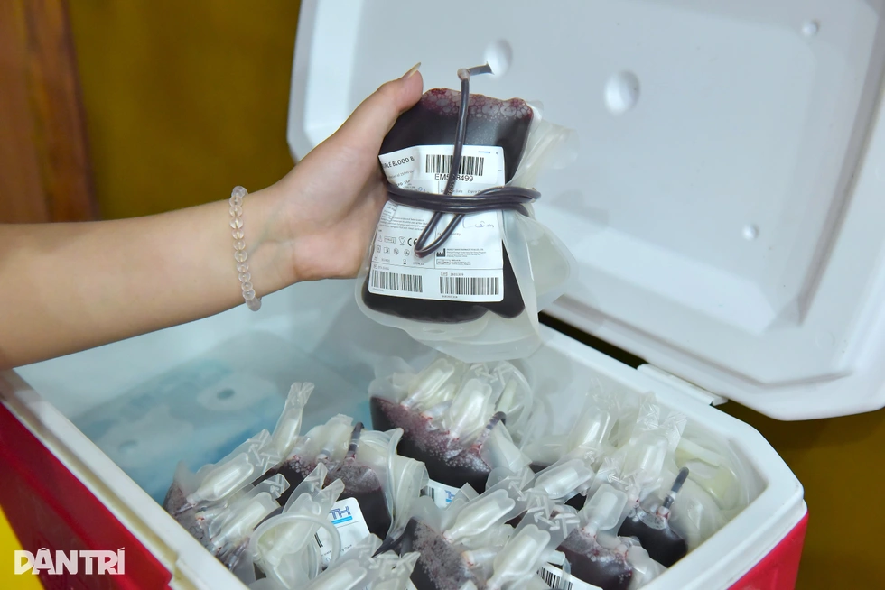 Cán bộ Bộ Nội vụ tham gia hiến máu, lan tỏa nghĩa cử vì cộng đồng - 6 Cán bộ Bộ Nội vụ tham gia hiến máu, lan tỏa nghĩa cử vì cộng đồng - 6