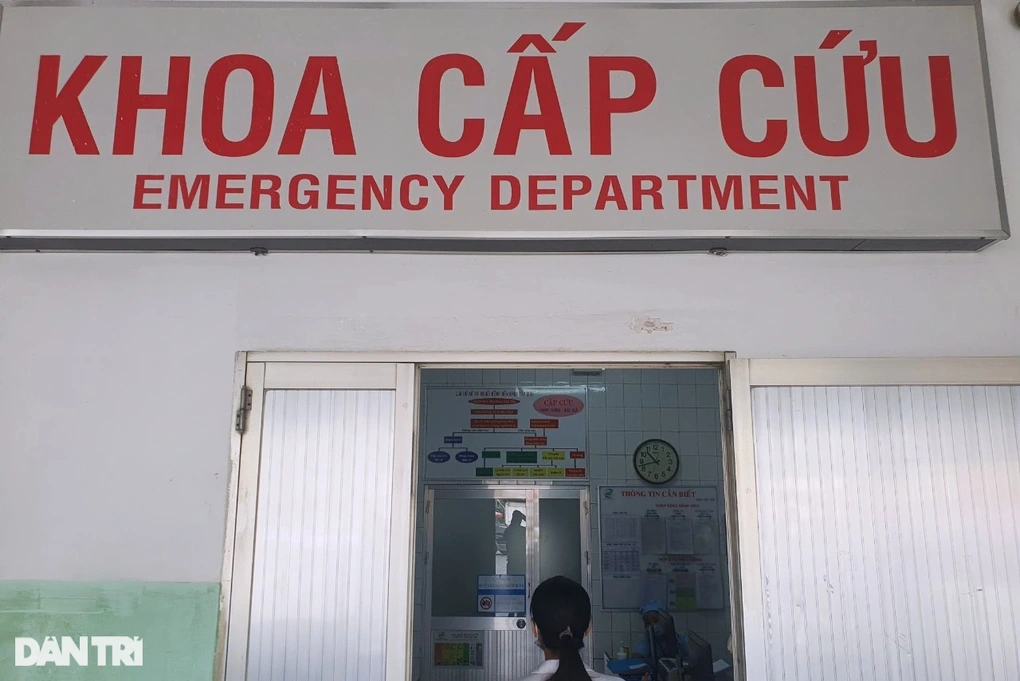 Một năm sau khi bị chó nhà cắn, cụ ông ở TPHCM phát bệnh dại - 2