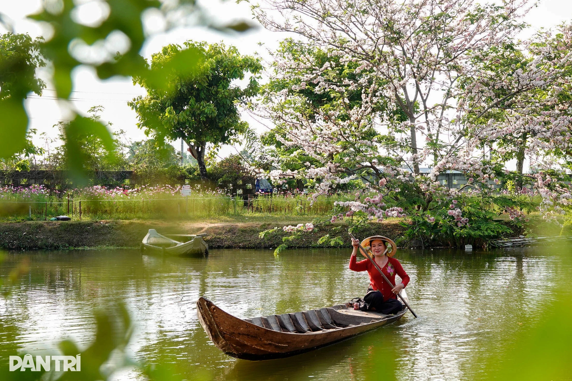 Lão nông ở miền Tây sở hữu giống hoa anh đào đột biến khiến du khách mê mẩn - 9 Lão nông ở miền Tây sở hữu giống hoa anh đào đột biến khiến du khách mê mẩn - 9