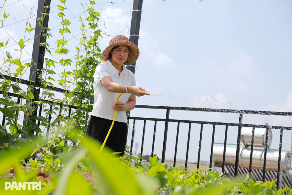 Vợ chồng ở Hà Nội chi 200 triệu đồng biến sân thượng thành vườn trồng rau - 3