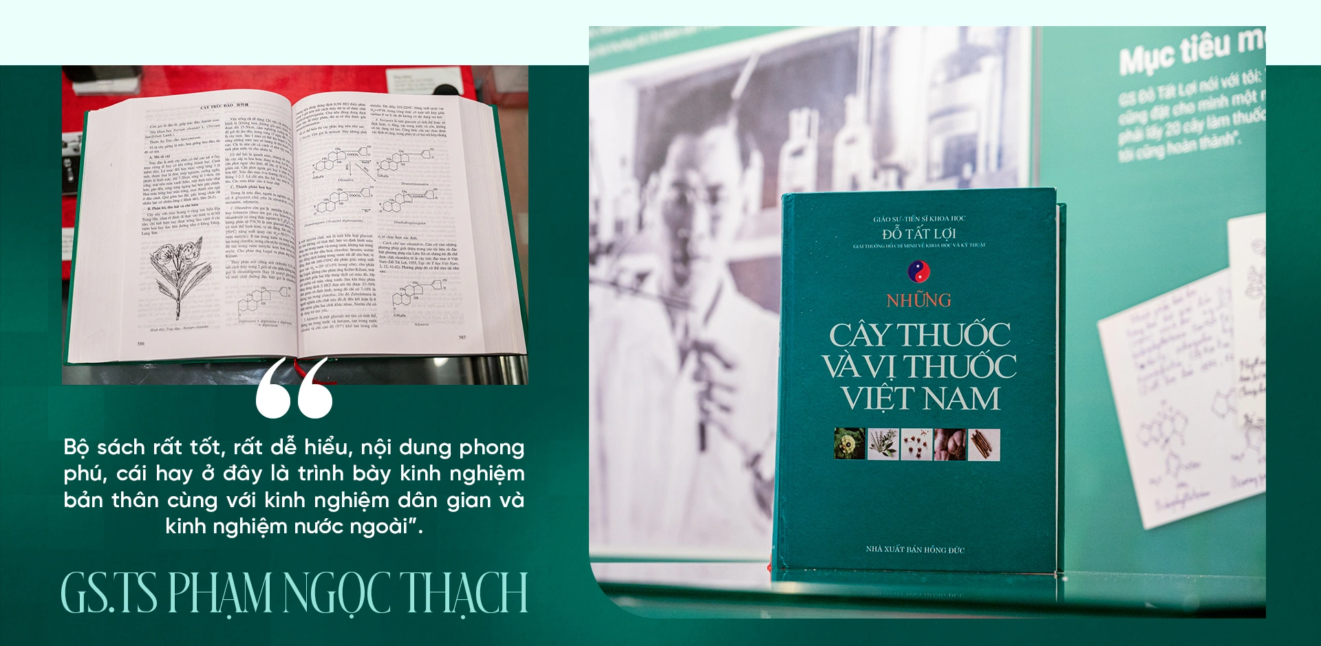 Danh y hái cây dại cứu bộ đội, viết trường ca về 750 vị thuốc quý nước Nam - 16