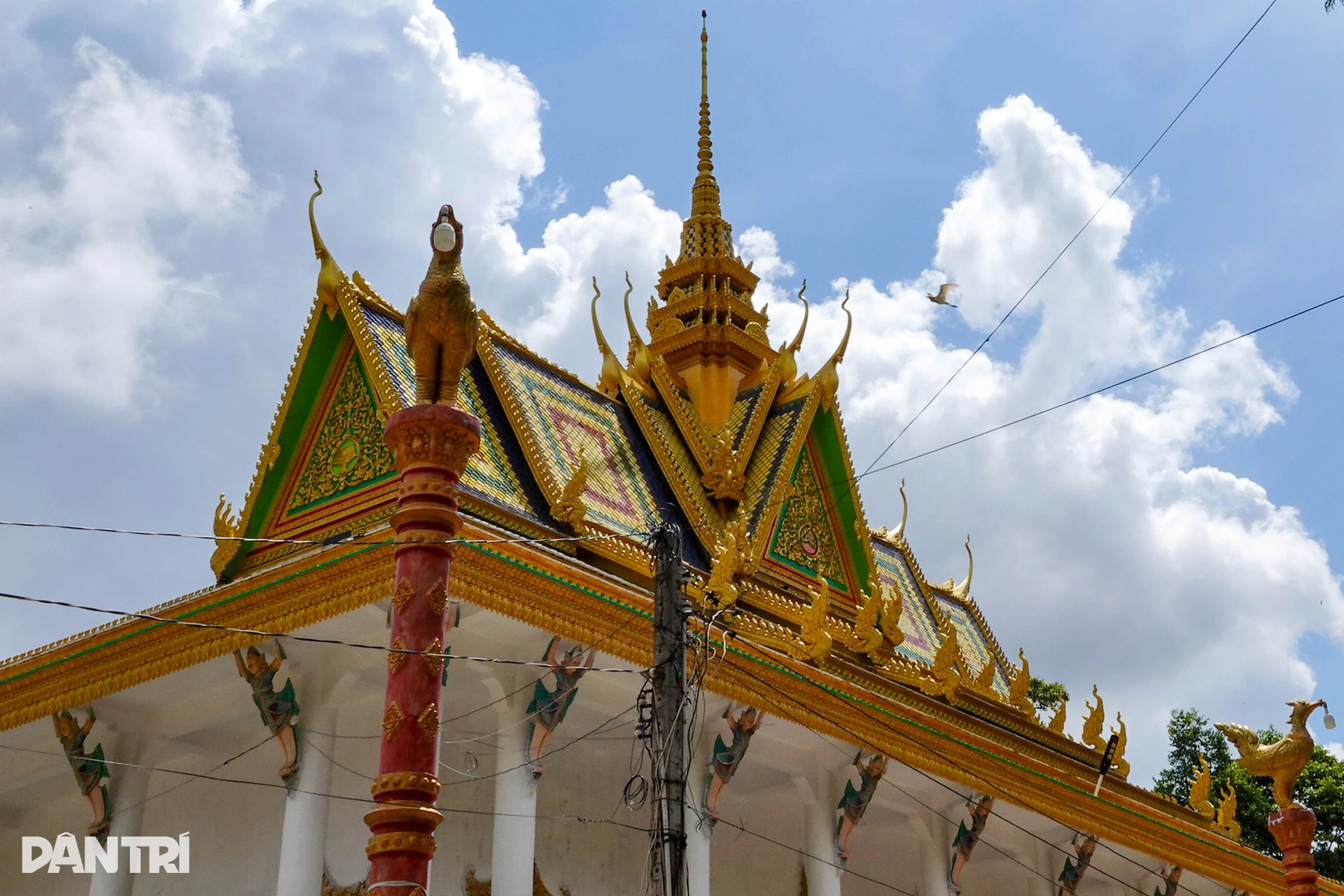 Chim cò đậu kín trong ngôi cổ tự 3 thế kỷ ở miền Tây - 8