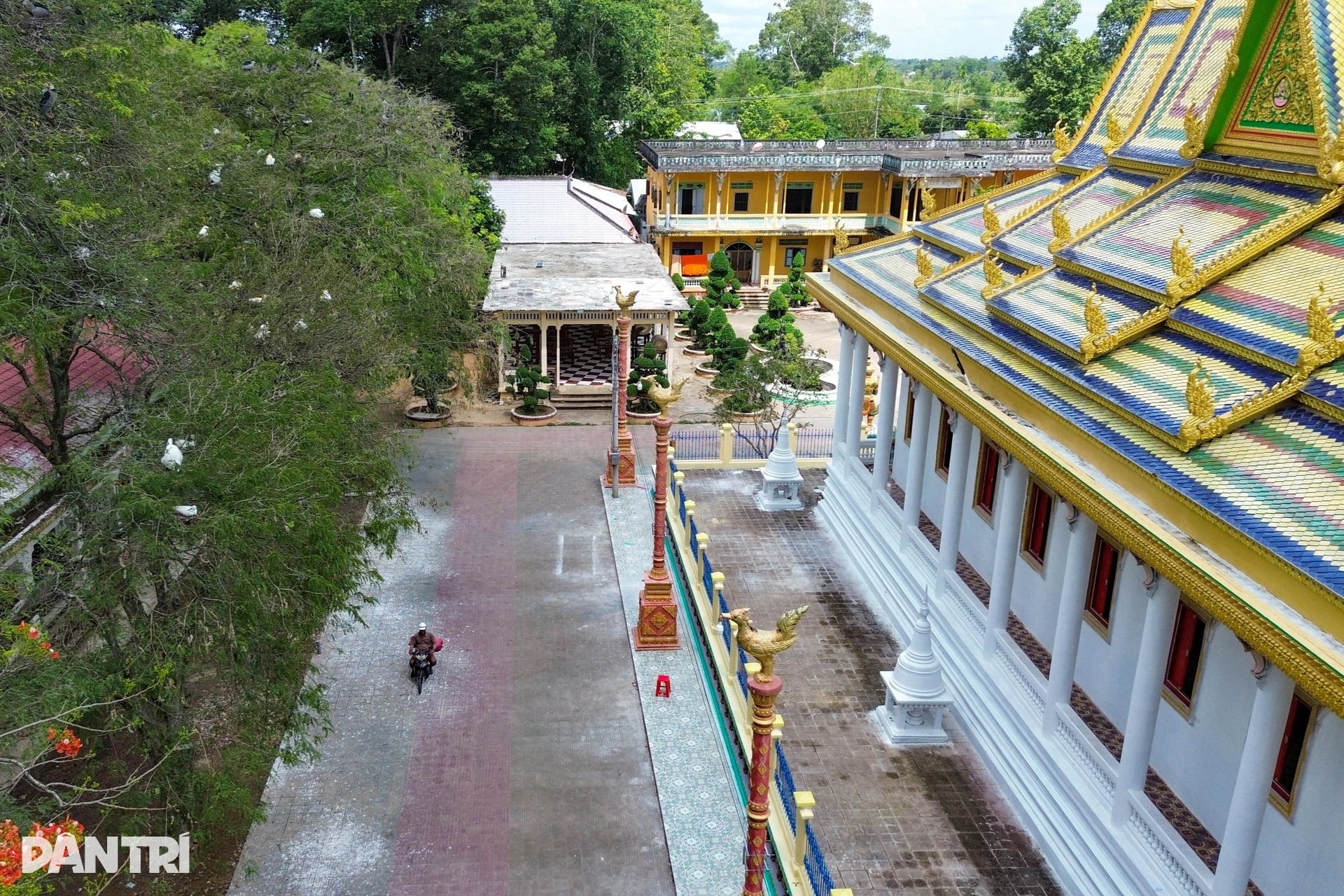 Chim cò đậu kín trong ngôi cổ tự 3 thế kỷ ở miền Tây - 10