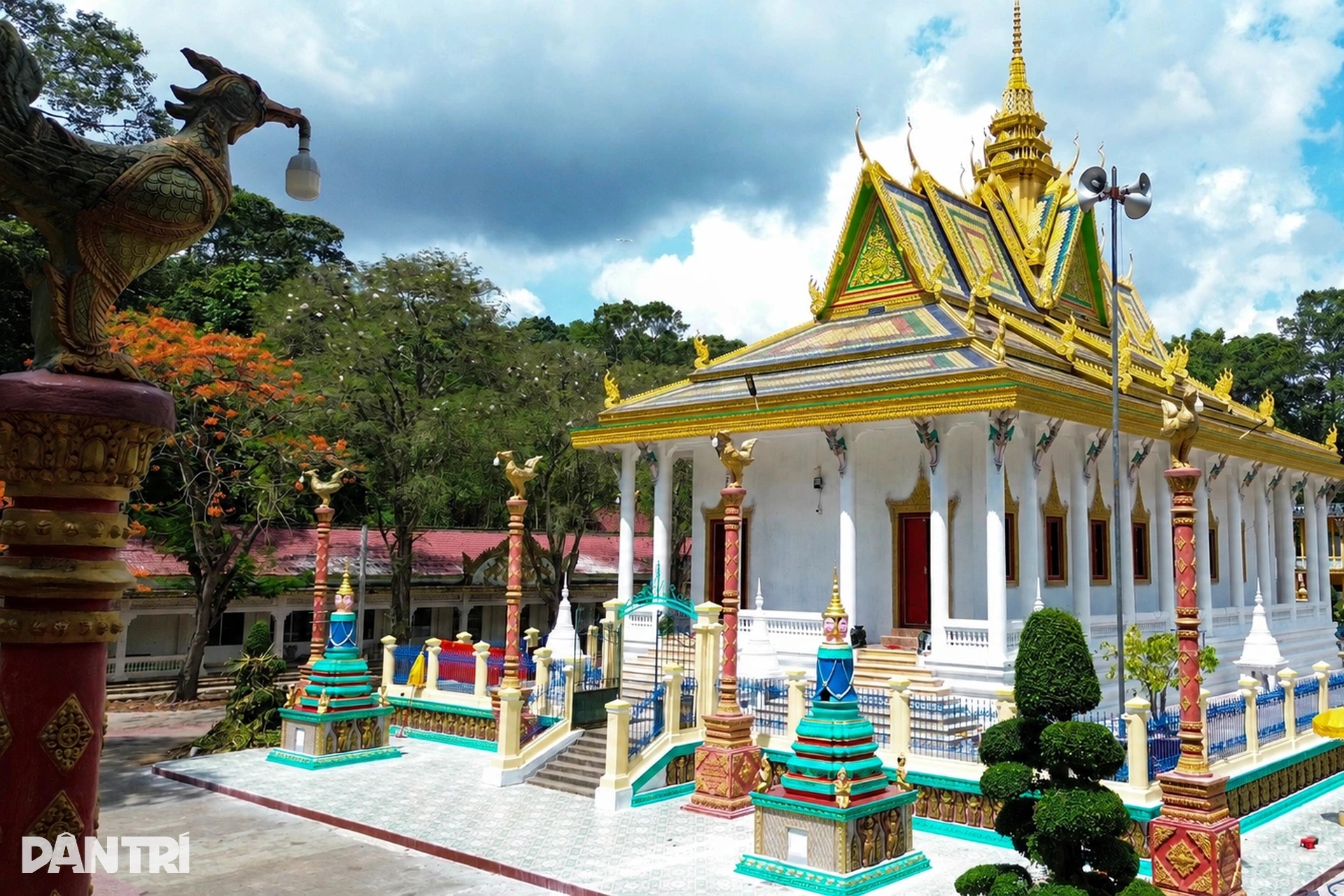 Chim cò đậu kín trong ngôi cổ tự 3 thế kỷ ở miền Tây - 13