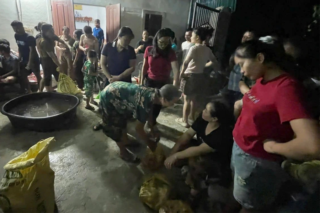 500 con gà chết ngạt, chủ trại rơi nước mắt bởi cuộc gọi gần nửa đêm - 2