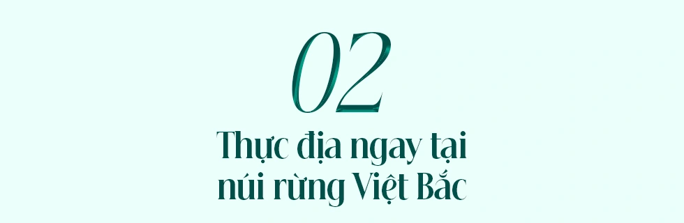 Danh y hái cây dại cứu bộ đội, viết trường ca về 750 vị thuốc quý nước Nam - 7