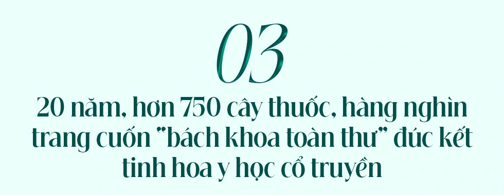 Danh y hái cây dại cứu bộ đội, viết trường ca về 750 vị thuốc quý nước Nam - 10