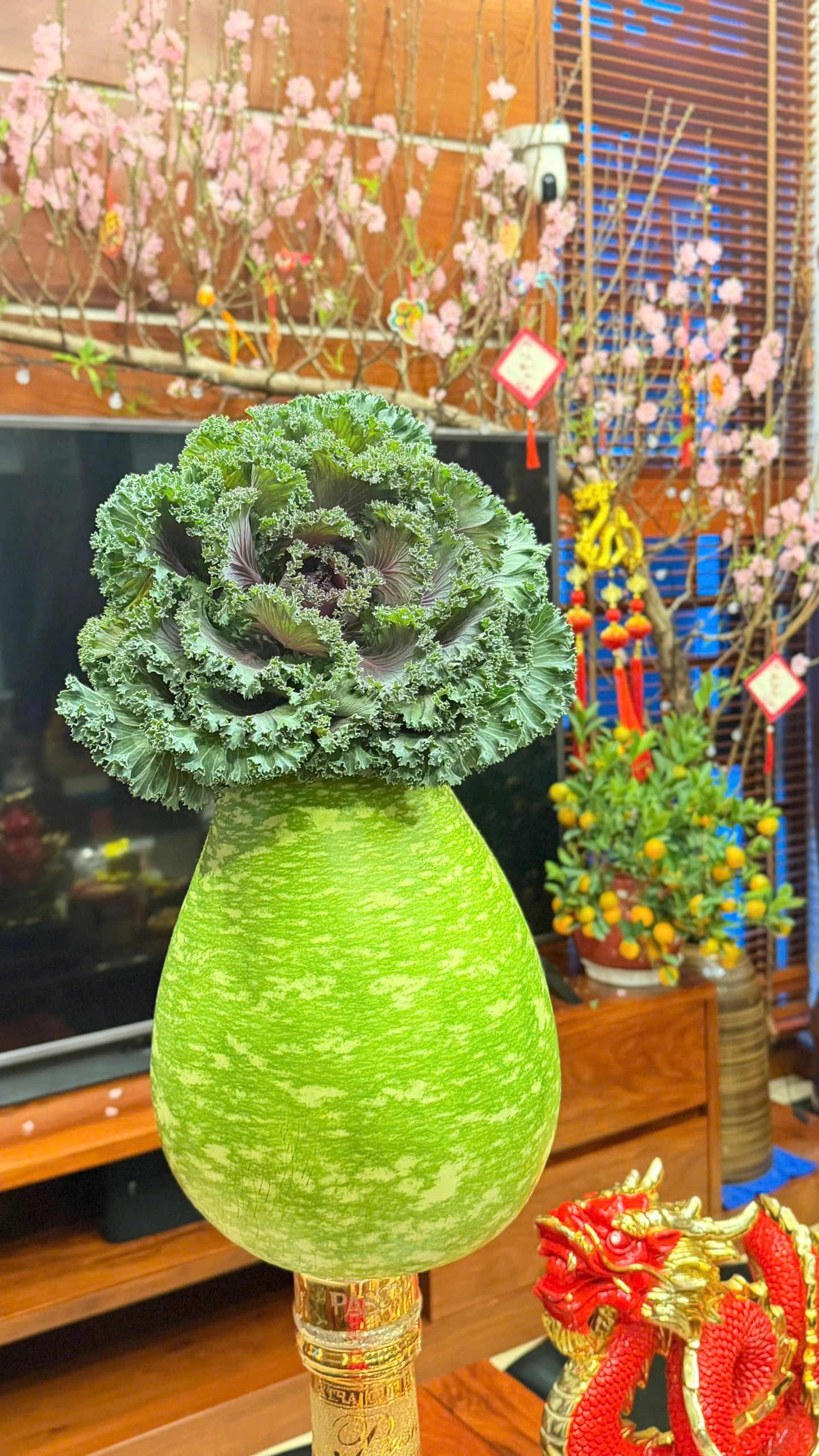 Khu vườn độc lạ của mẹ đảm Quảng Ninh: Bầu “khổng lồ”, mướp tài lộc lúc lỉu - 9 Khu vườn độc lạ của mẹ đảm Quảng Ninh: Bầu “khổng lồ”, mướp tài lộc lúc lỉu - 9