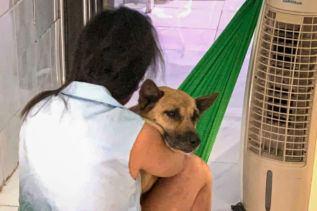 Chuyện phía sau bức ảnh mẹ, con trai và chú chó gây chú ý - 2