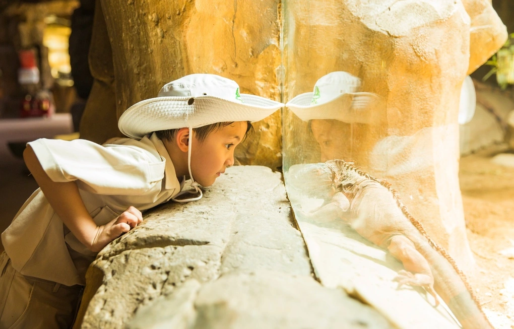 Vinwonders cùng Quỹ Khuyến học mang mùa hè ý nghĩa cho thiếu nhi - 5 Vinwonders cùng Quỹ Khuyến học mang mùa hè ý nghĩa cho thiếu nhi - 5