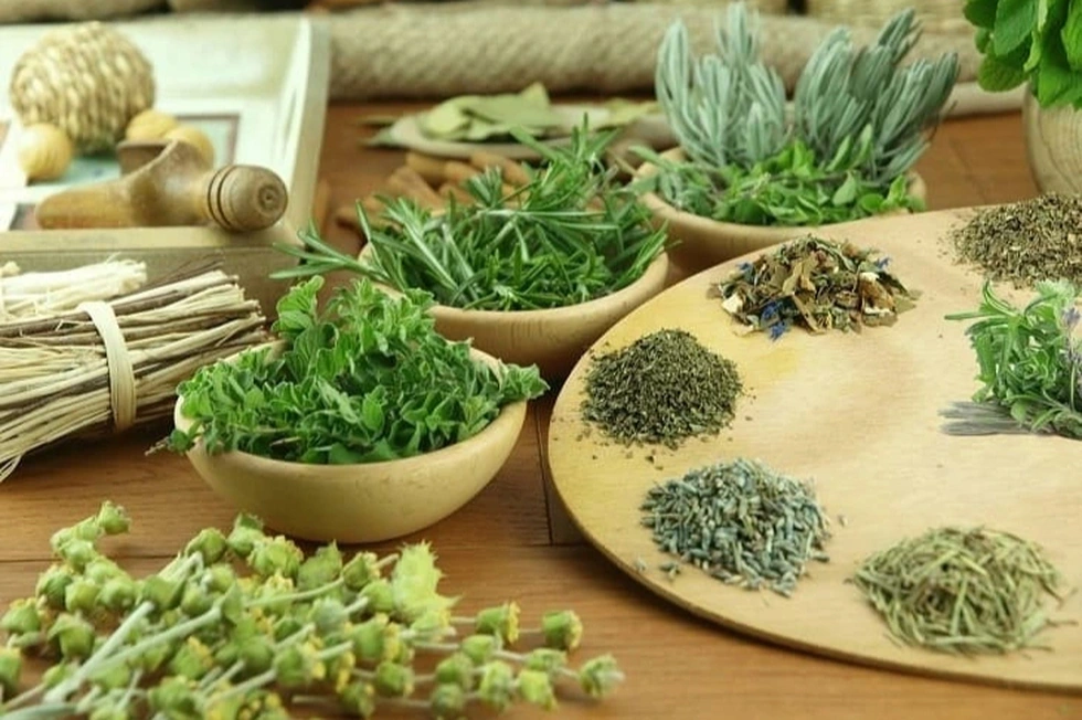 Nhiều bài thuốc quý nghìn đời bị loại khỏi hệ thống điều trị chỉ vì luật - 3