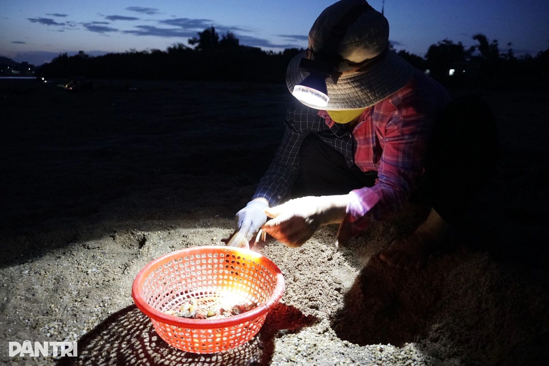 Soi đèn săn “lộc trời” trong đêm - 3 Soi đèn săn “lộc trời” trong đêm - 3