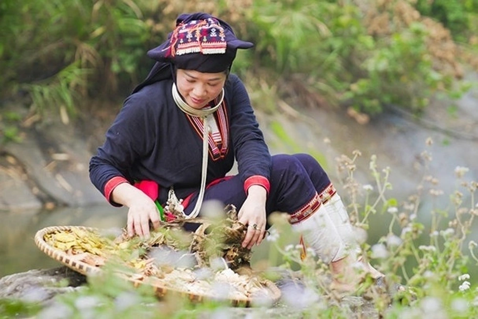 Nhiều bài thuốc quý nghìn đời bị loại khỏi hệ thống điều trị chỉ vì luật - 4