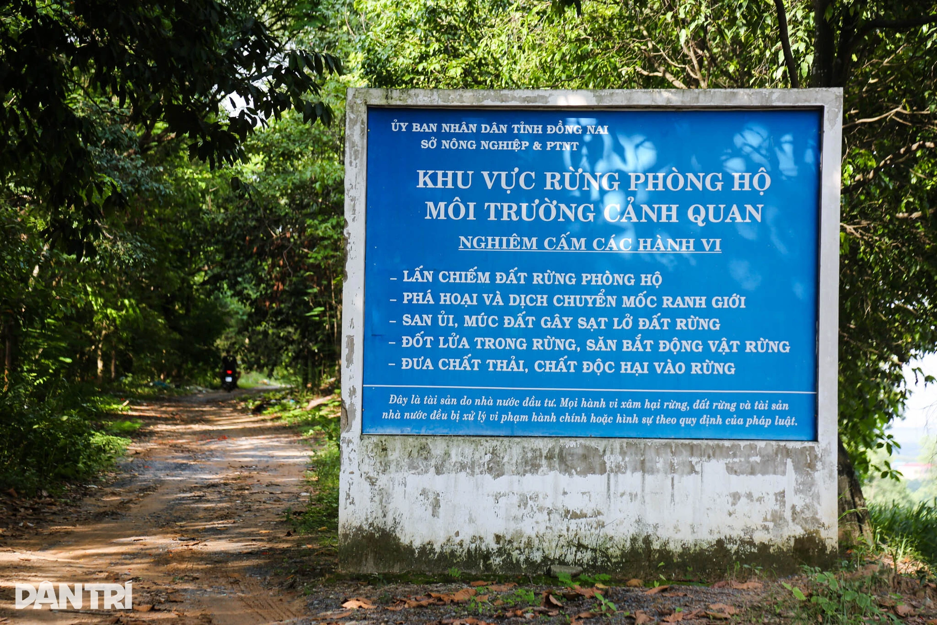 Khu rừng xanh mát nằm giữa đô thị công nghiệp Đồng Nai - 10 Khu rừng xanh mát nằm giữa đô thị công nghiệp Đồng Nai - 10
