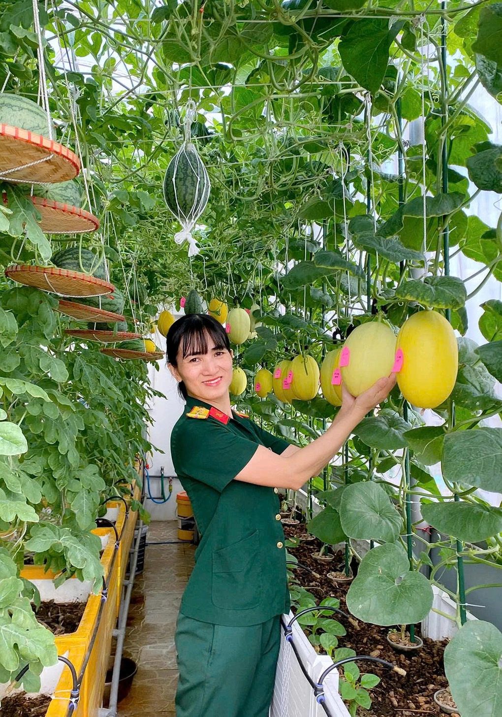 Vườn dưa trĩu quả trên sân thượng của nữ trung tá ở Hà Nội - 3