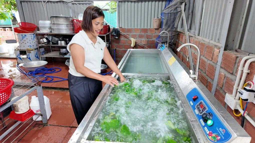 Khách ở lại do bão số 1, chủ khách sạn Quảng Ninh mổ lợn mời 50 người - 2 Khách ở lại do bão số 1, chủ khách sạn Quảng Ninh mổ lợn mời 50 người - 2